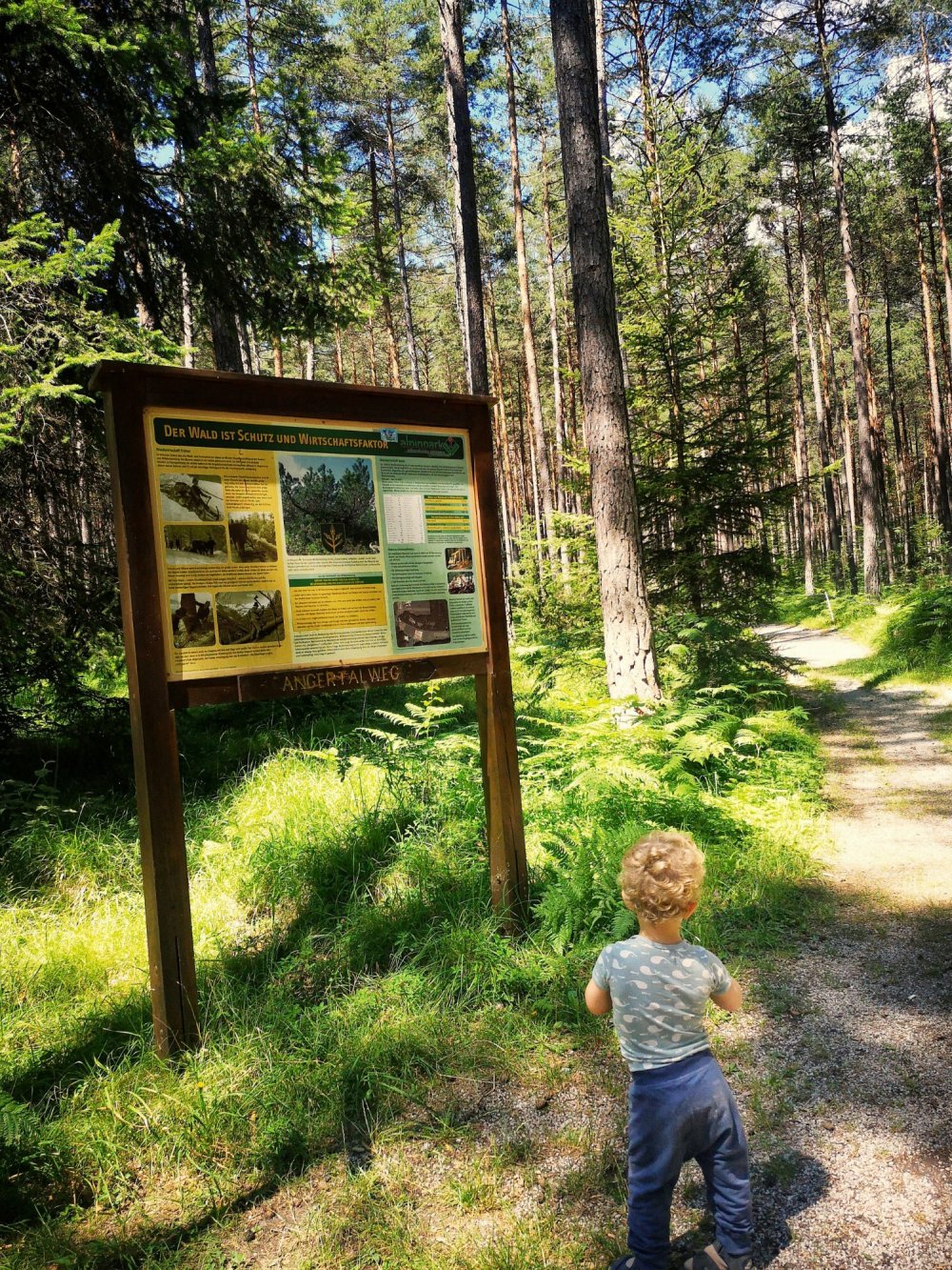 Rundwanderweg Alpinpark Angertalweg