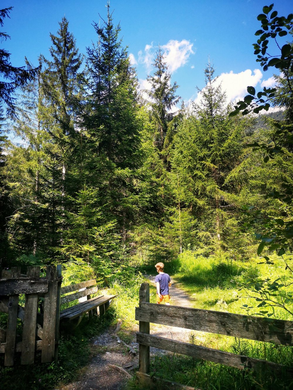 Rundwanderweg Alpinpark Angertalweg