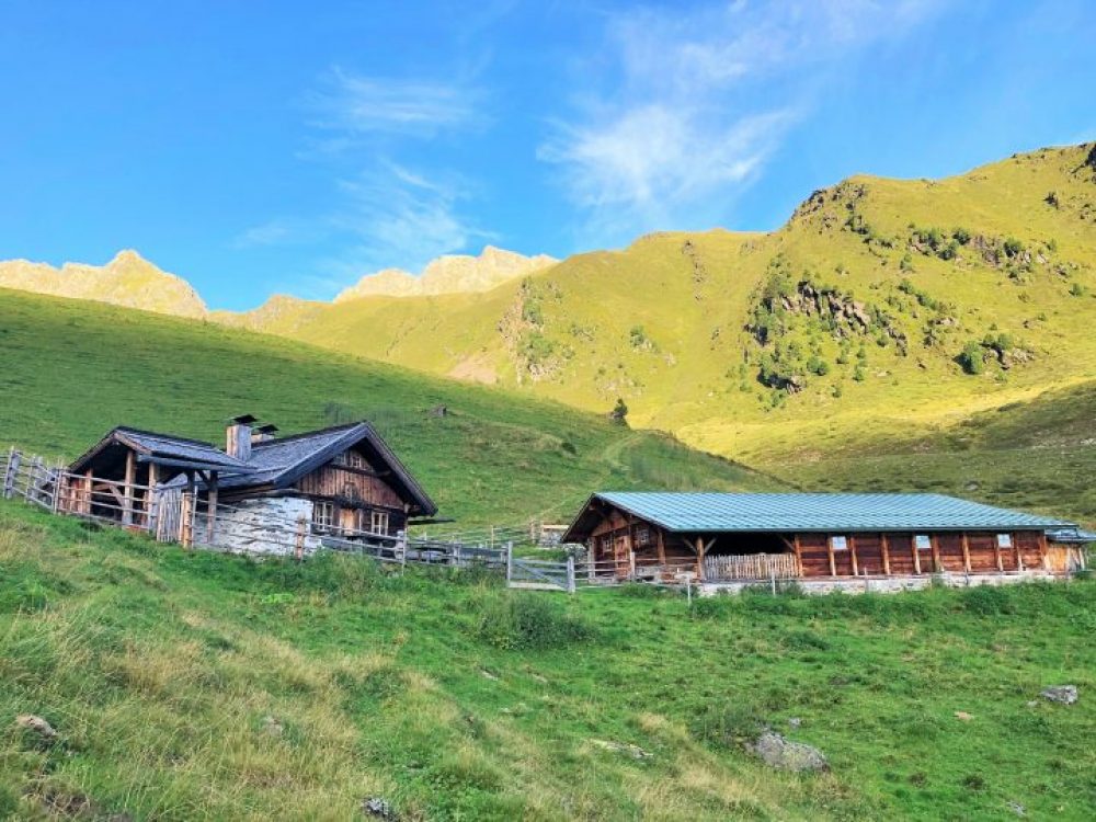 Vorbei an der Schäfalm ziehen wir bergwärts.