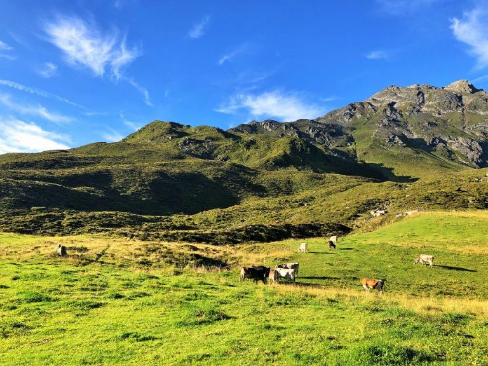 Der Großteil des Aufstiegs wird am Anfang absolviert.