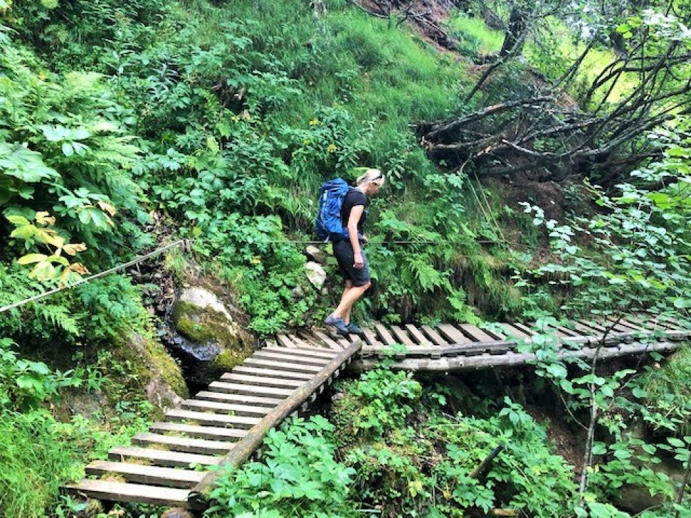 Nur ein paar hundert Höhenmeter weiter unten angelegt, bietet der Retourweg ein echtes Kontrastprogramm zum vorherigen Höhenweg.