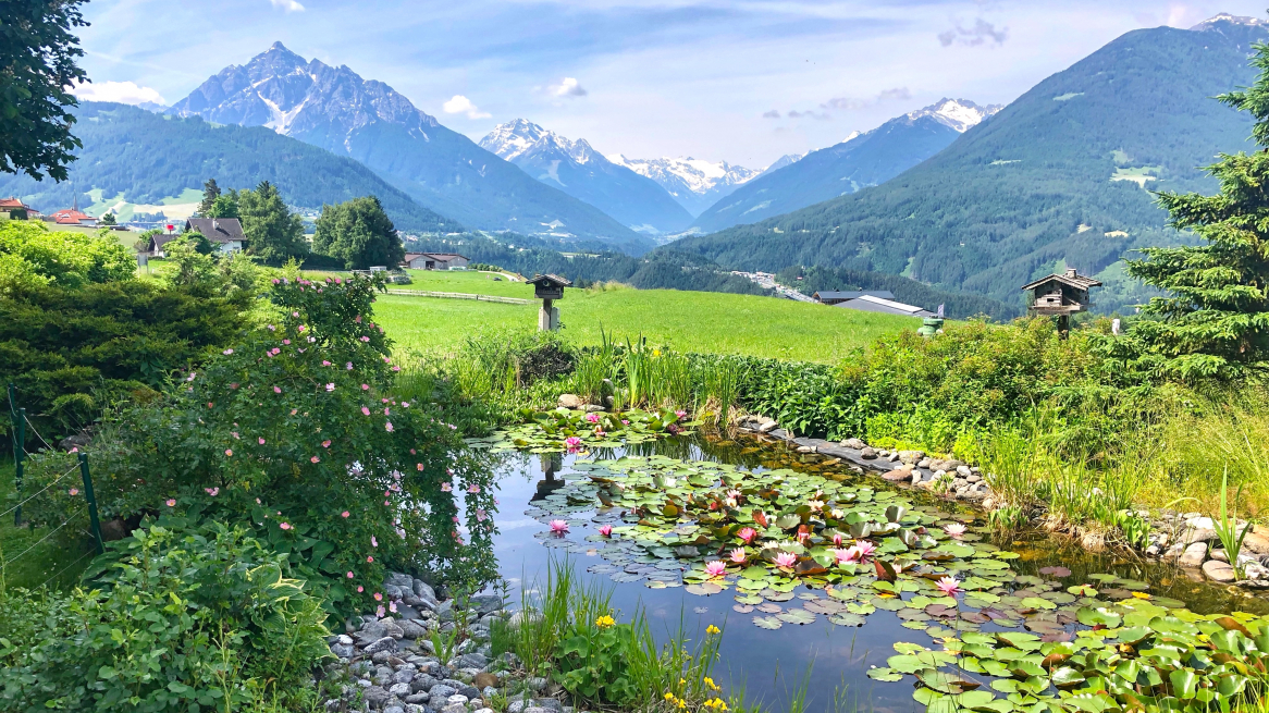 Teich, Grünwalderhof