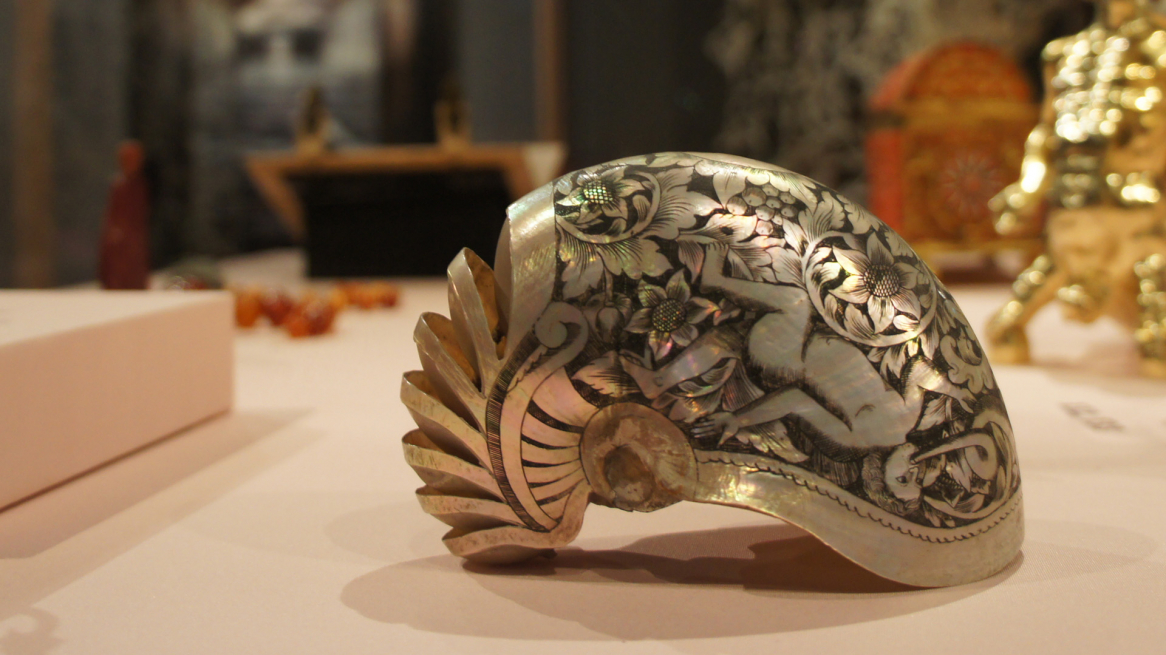 Nautilus-Schale, Schloss Ambras