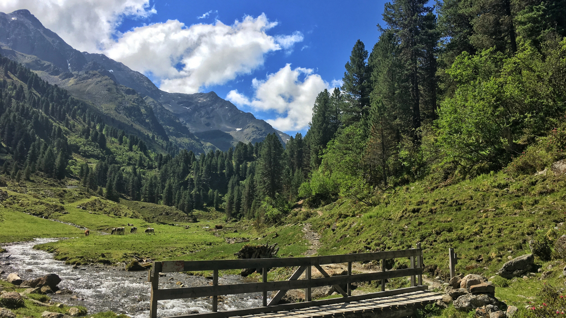 Fotschertal