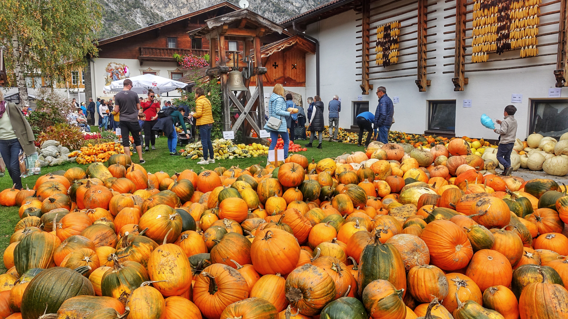 Michigan Marching Band, image size:1920x1080