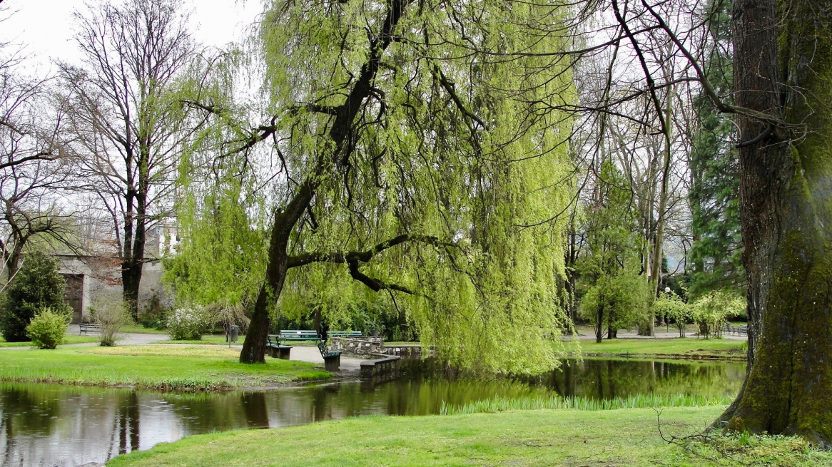 Hofgarten