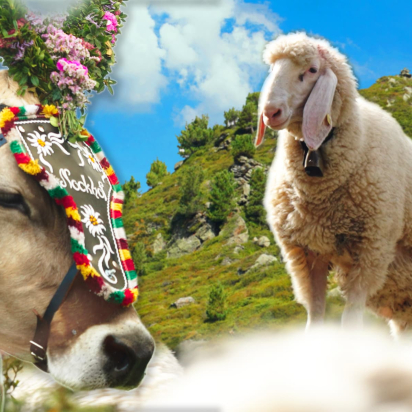 DIP-Almabtrieb-header (1)