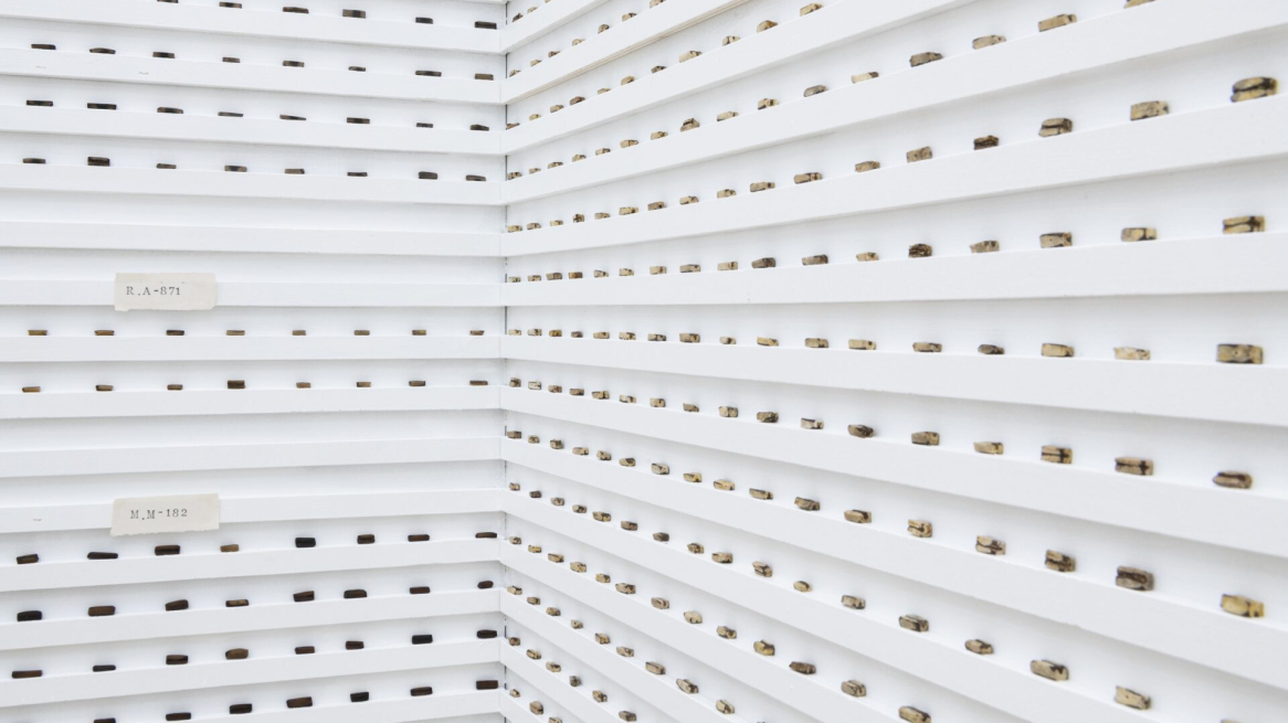 Uno scorcio della mostra “After the Corpse” di Mahsa Aleph al Kunstpavillon di Innsbruck