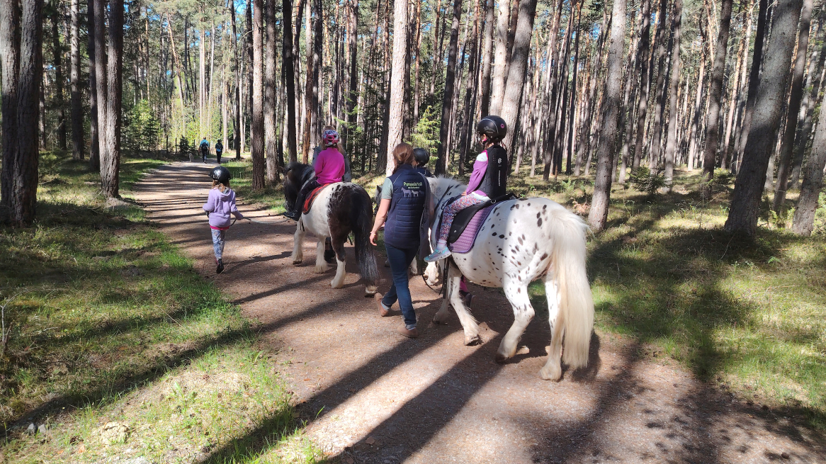 Ponyreiten am Gerhardhof