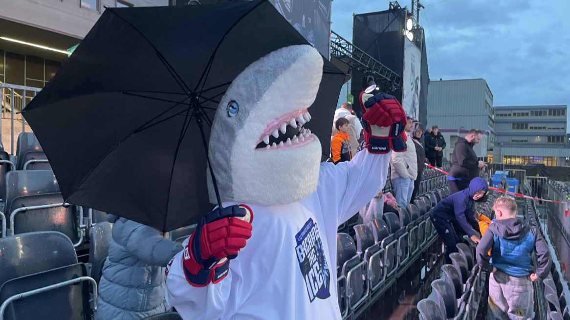 Sharky Mascot