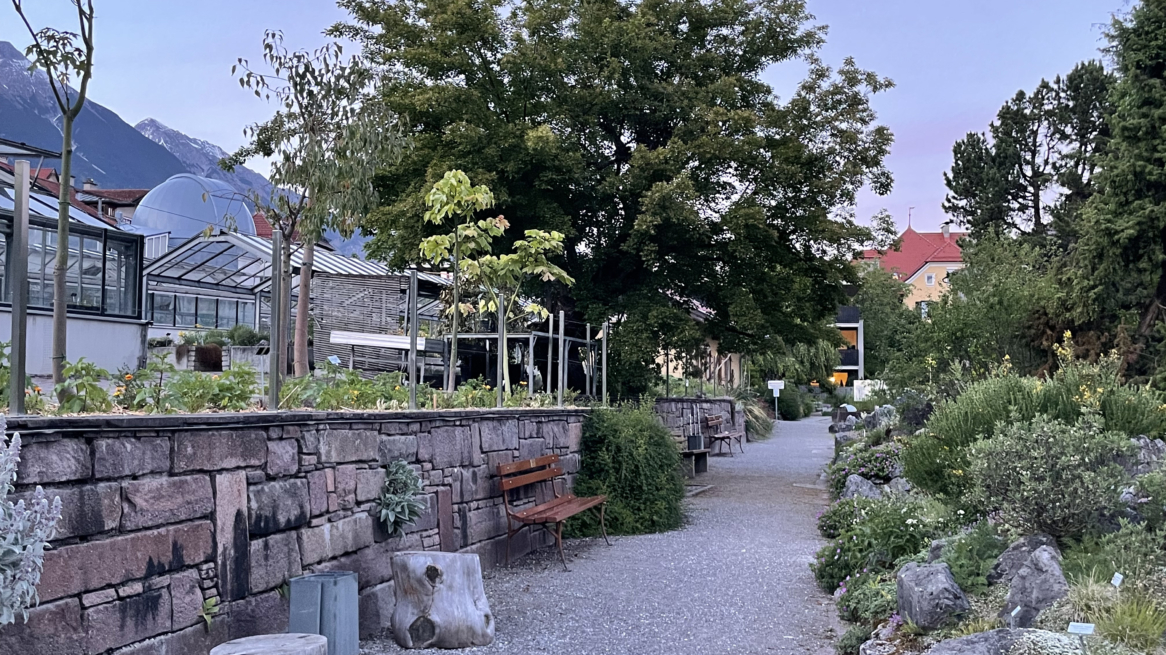 The Garden