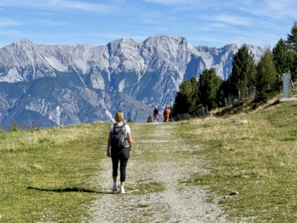 Der Almenweg1600 am Patscherkofel ist eine beliebte Wanderung für sportliche oder gemütliche Wanderer.