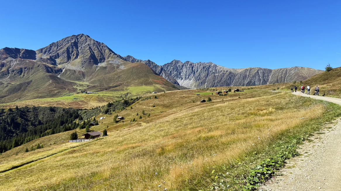 Forstweg zum Rangger Köpfl mit Blick auf den Rosskogel