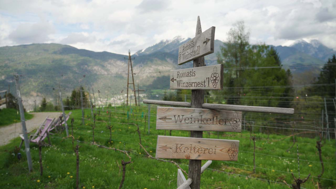 Weingut Romasi