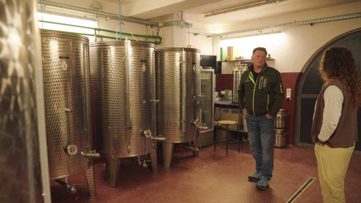 Weingut Romasi