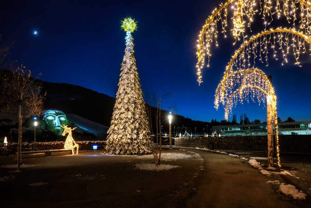 Mondi Cristallo Swarovski albero natale giardino 