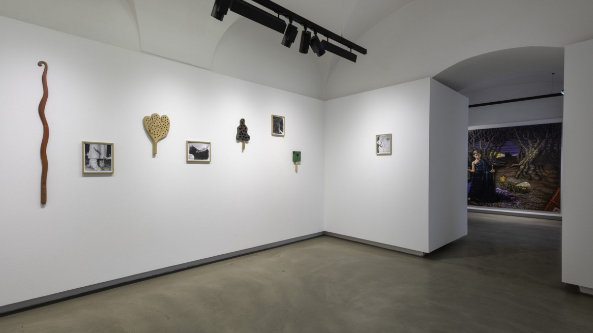 La mostra „Ecologies of care“ alla Neue Galerie di Innsbruck, Foto © Daniel Jarosch
