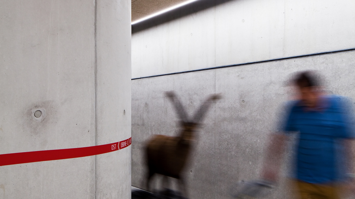© Christian Flatscher