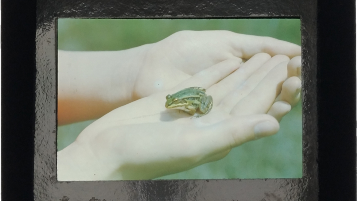 La mostra "FREE TIME" / DIE „FREIE ZEIT“ al Kunstraum di Innsbruck, Foto  Anna Hofbaur, Windows of W., still, 2020