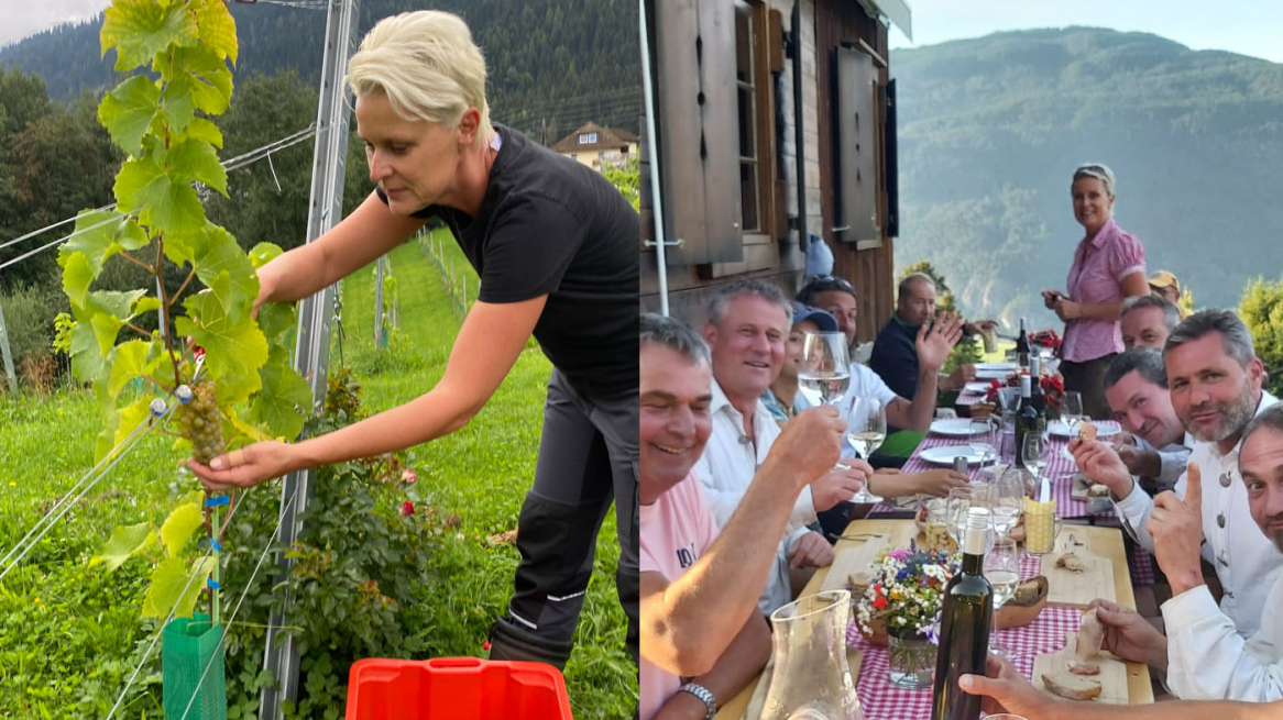 Von der Ernte zur Feier © Weingut Romasi
