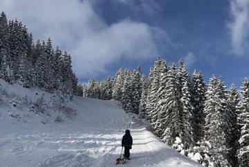 Axamer Lizum - Pista di slittino naturale Pleisenhütte