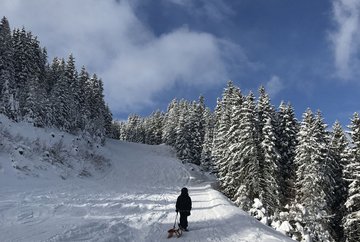 Axamer Lizum - Pleisenhütte natural toboggan run