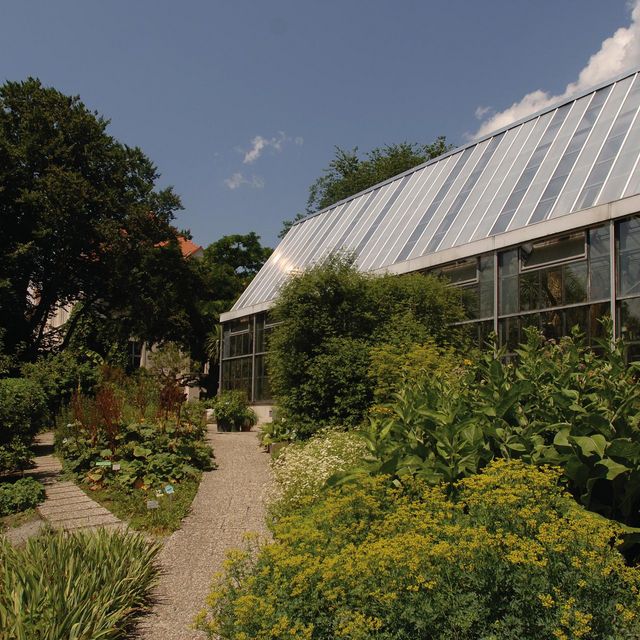 El jardín de los sentidos