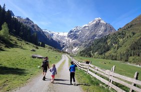 Sur les traces des animaux sauvages dans la vallée de Lüsen