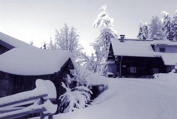 Rinner Alm