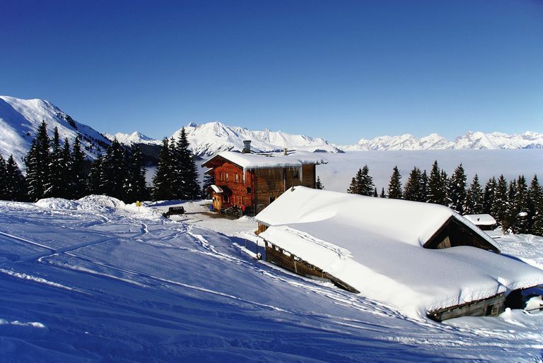 Birgitzer Alm
