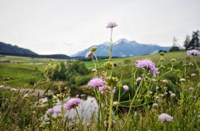 Wandern mit Kindern: 3 spannende Ausflugsziele für Groß & Klein