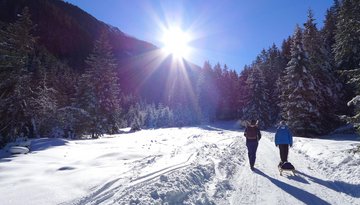 Alpine inn Kemater Alm