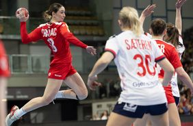 Bereit für den großen Wurf: Die Handball-Europameisterschaft kommt nach Innsbruck