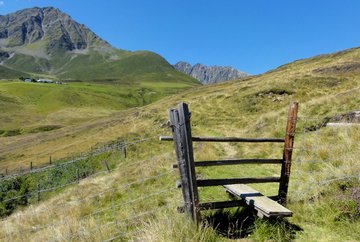 Sentier Alpenrosensteig à Oberperfuss