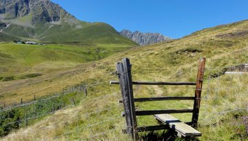 Alpenrosensteig 14a - Rundwanderung
