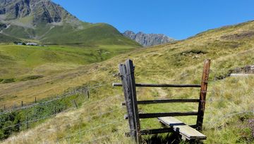 Alpenrosensteig 14a - Rundwanderung