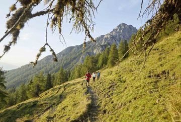 Muttereralm - Saile (Nockspitze)