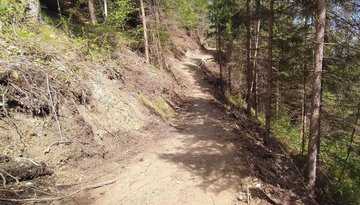 City Forest Trail