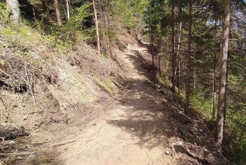 City Forest Trail
