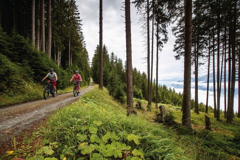 E-Bike-Tour Patscherkofel
