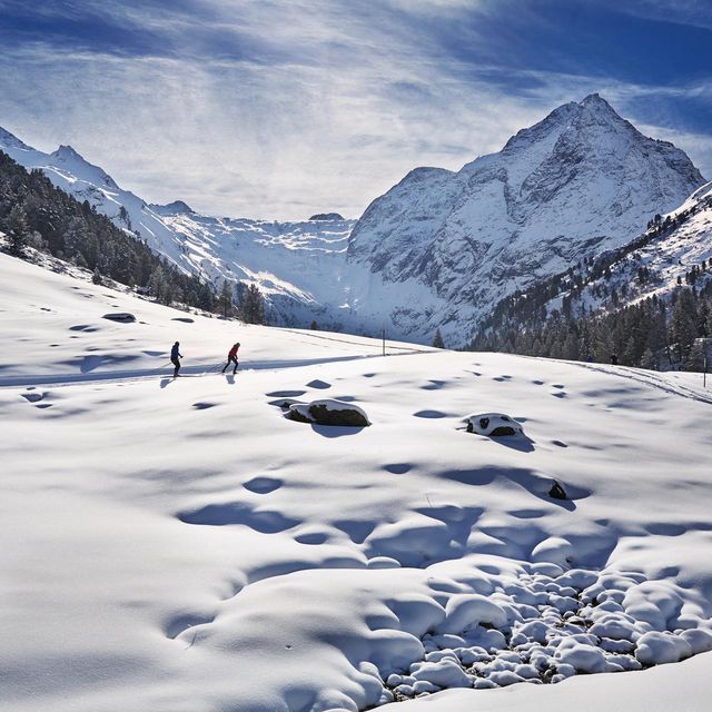 Le ski de fond