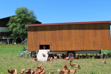 Termen van de boeren in Axams