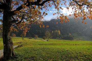 Sentiero panoramico Birgitz (32)