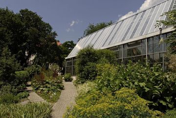 Botanischer Garten