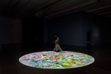 Christa Sommerer & Laurent Mignonneau | Come and Grow