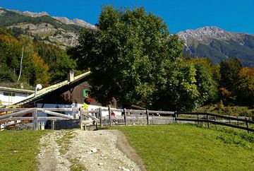 Arzler Alm (505)