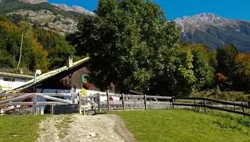 Arzler Alm (505)