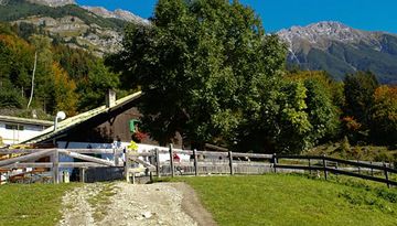 Arzler Alm (505)