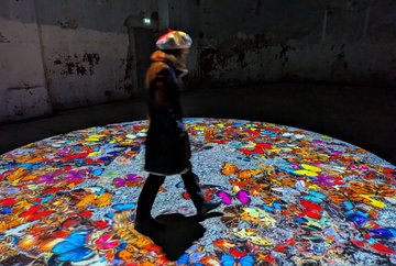 Christa Sommerer & Laurent Mignonneau Come and Grow