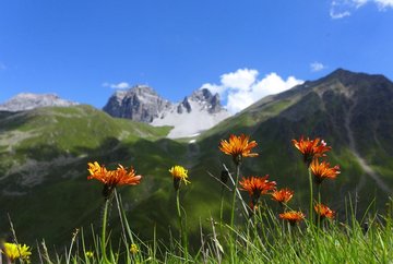 Excursión familiar a Sonntagsköpfl en el valle Senderstal